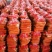胡萝卜，精品分级别打包大条，中条小条，提供各种包装！