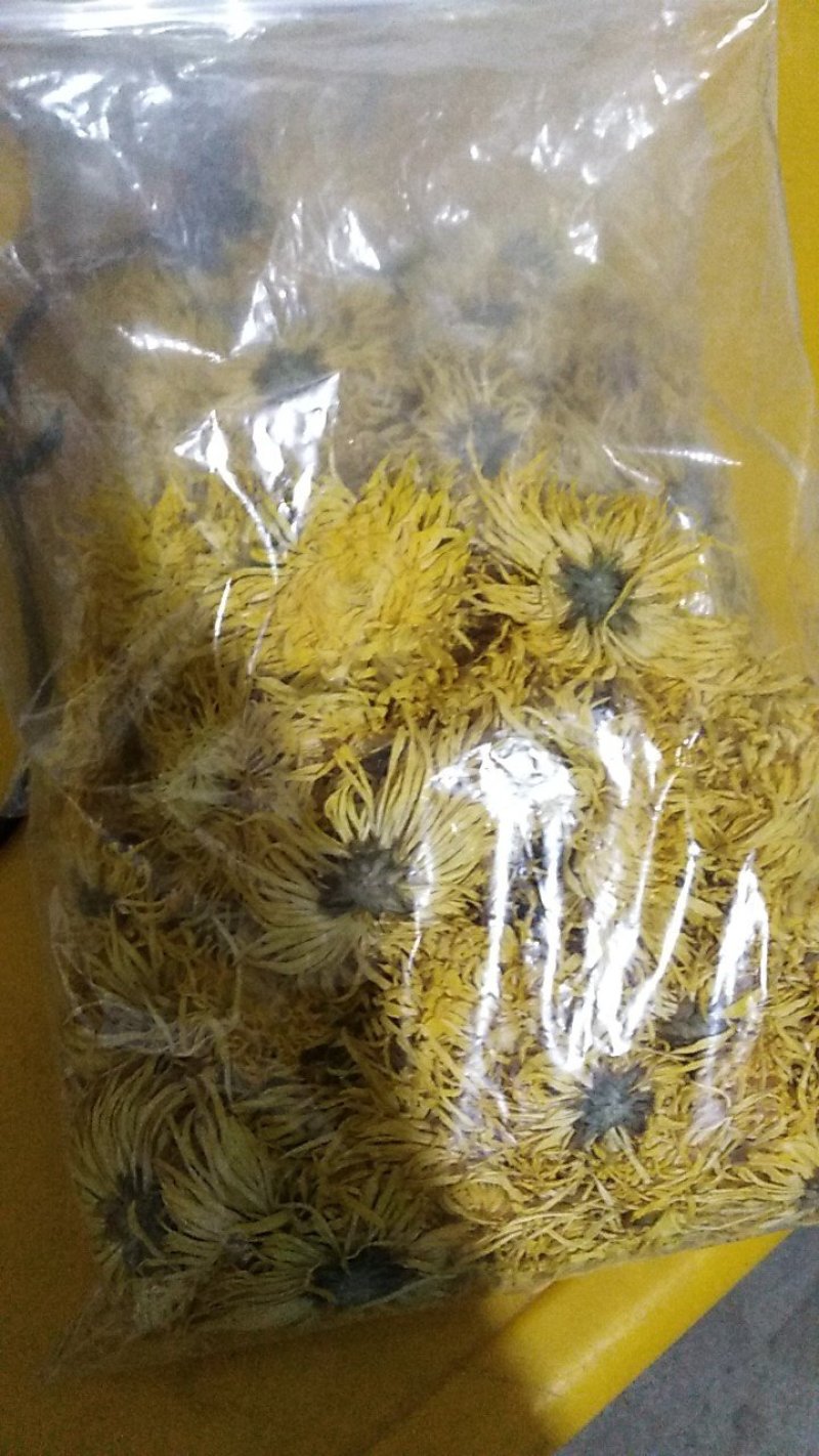 金丝皇菊茶
