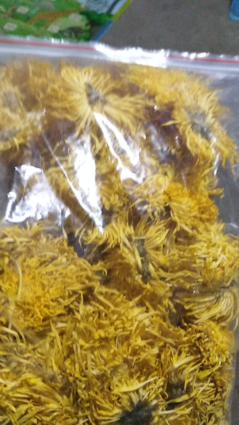 金丝皇菊茶