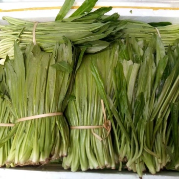 大香菜