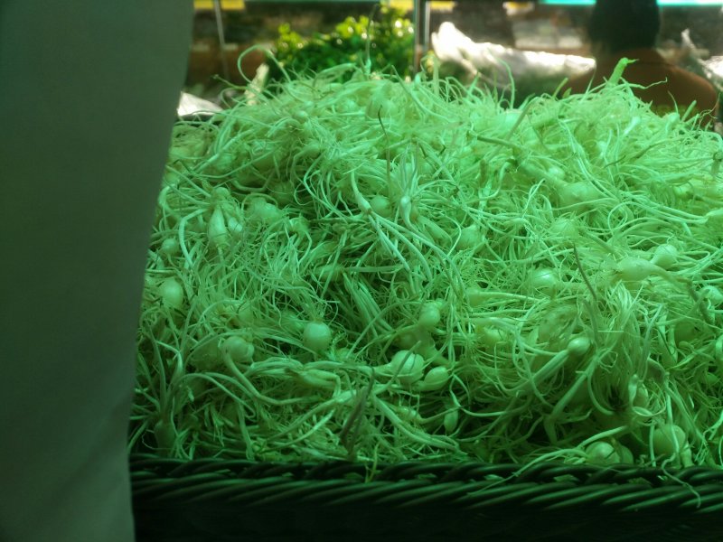 小跟蒜现货供应有需要的朋友随时联系我