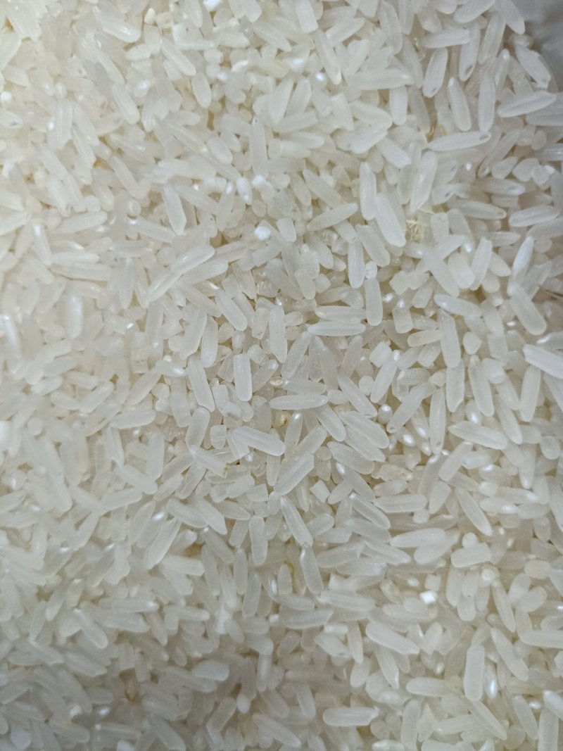 25年精品烘干黄花占稻谷口感好，米质油，亮白度好，无黄