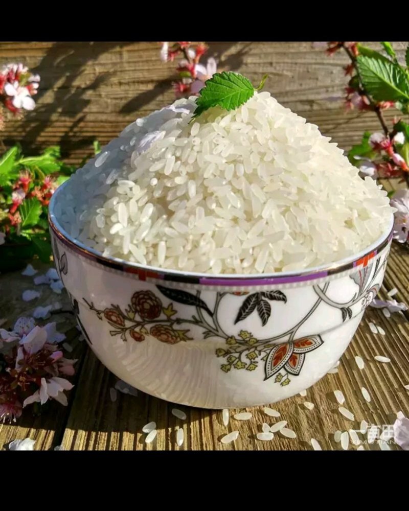 正宗的牡丹江镜泊湖响水稻花香大米