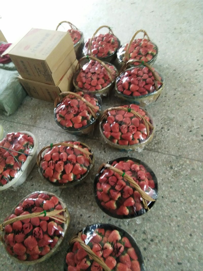 红颜，奶油草莓🍓