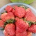 红颜，奶油草莓🍓