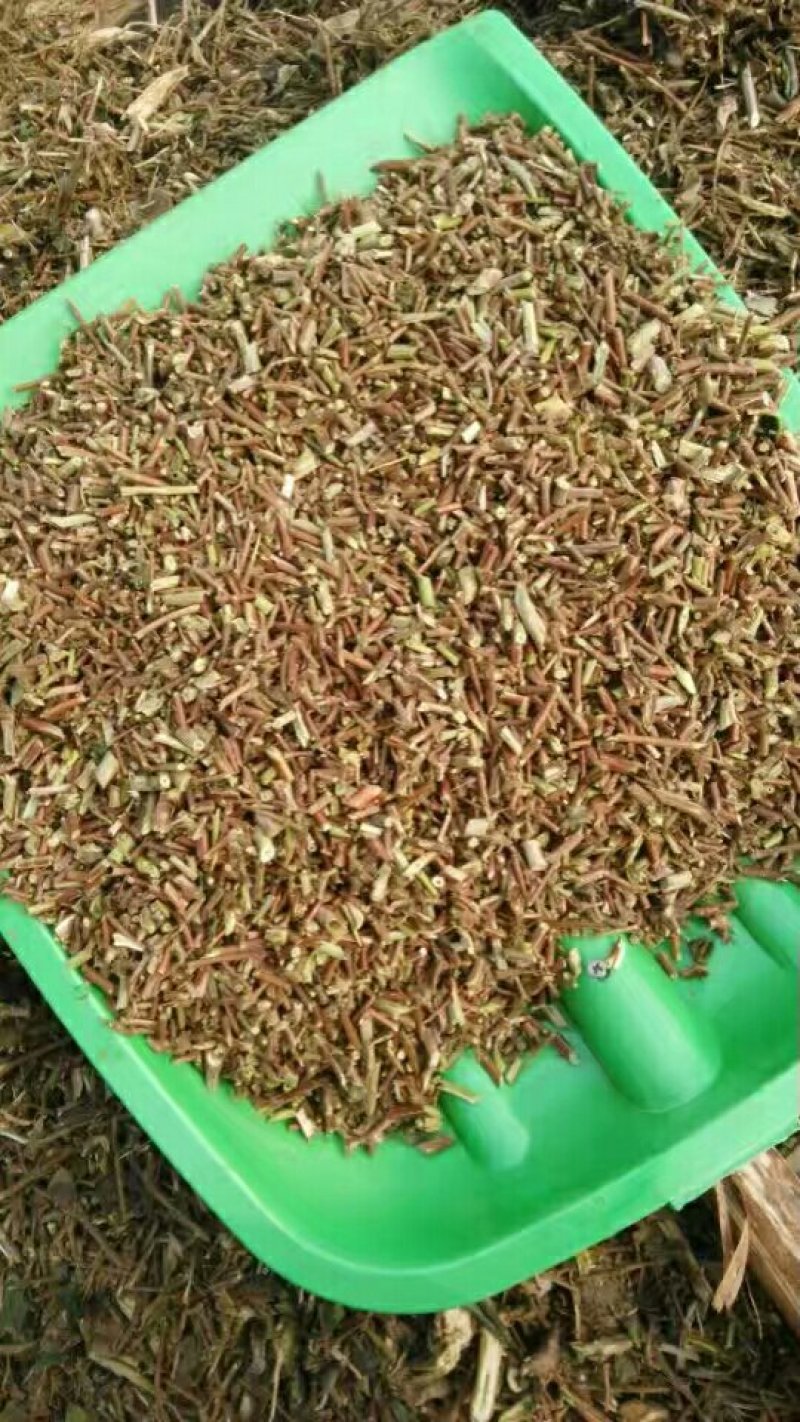 忍冬藤饮片
