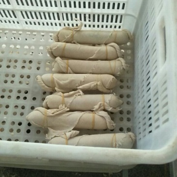 大量批发豆肠油皮豆皮豆制品