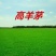 高羊茅草种净籽春夏秋播