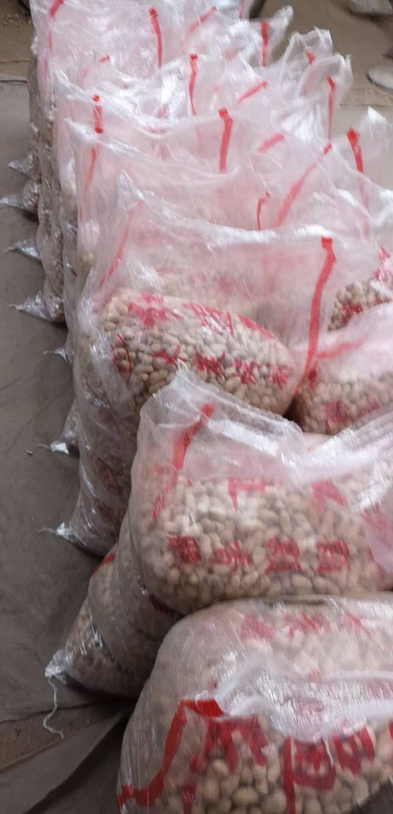 精品原味熟花生，现炒现发，欢迎随时电话联系
