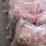 炒花生【天府3号】量大质优天天发货欢迎电话联系支持预订