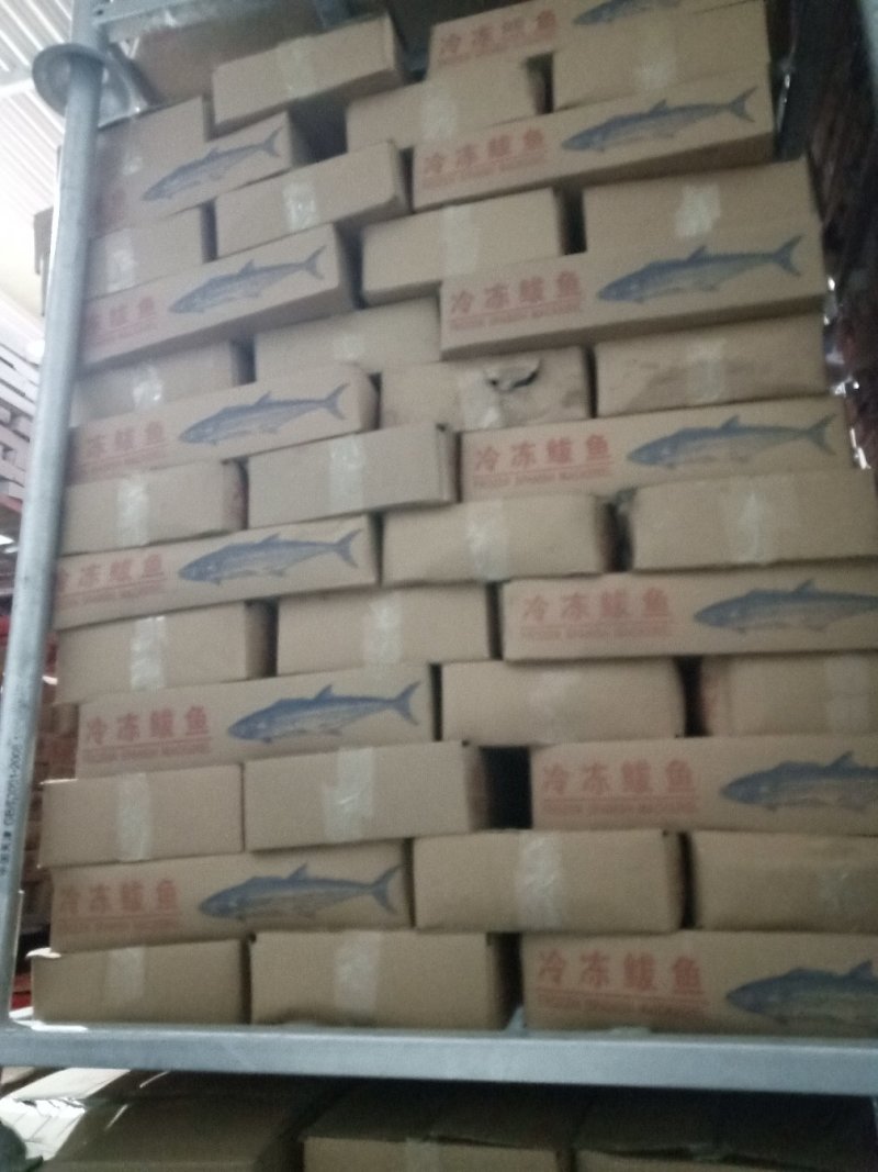 带鱼。进口，国产舟山带鱼，进口带鱼，中带，大带，规格齐全