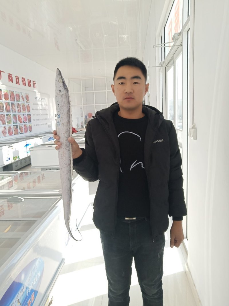 带鱼。进口，国产舟山带鱼，进口带鱼，中带，大带，规格齐全
