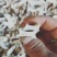 白，花，黄魔芋干片