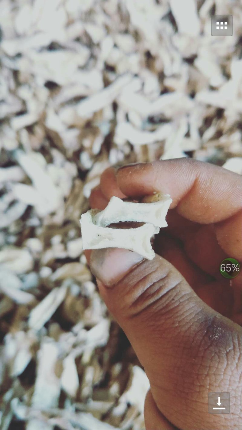 白，花，黄魔芋干片