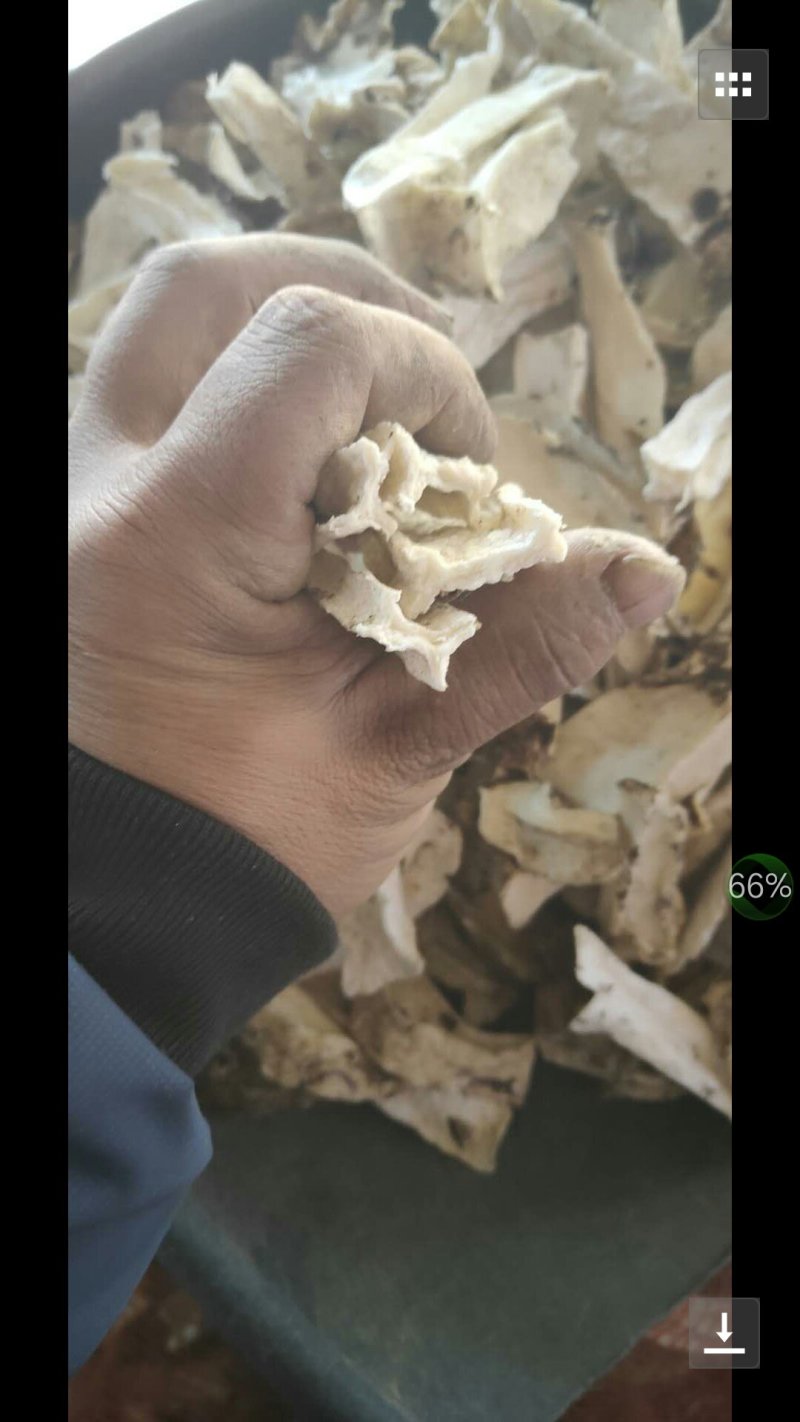 白，花，黄魔芋干片