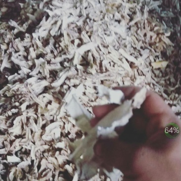 白，花，黄魔芋干片