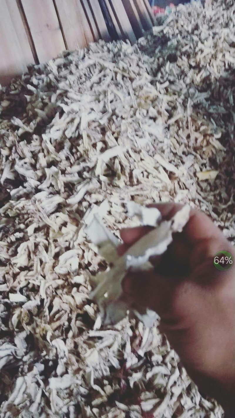 白，花，黄魔芋干片