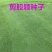 剪股颖种子