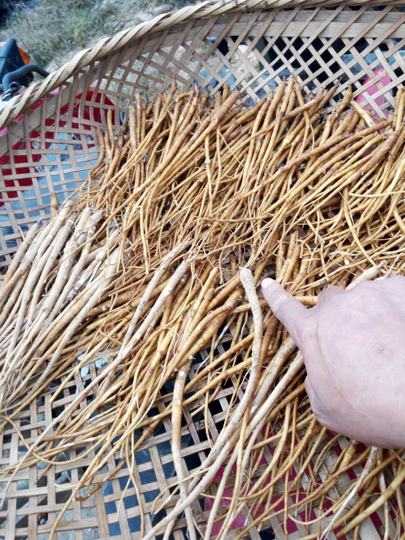 金铁锁干货