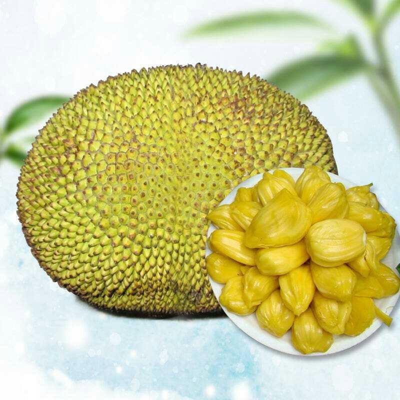 进口泰国菠萝蜜16-18斤新鲜孕妇水果木波罗非红肉榴莲