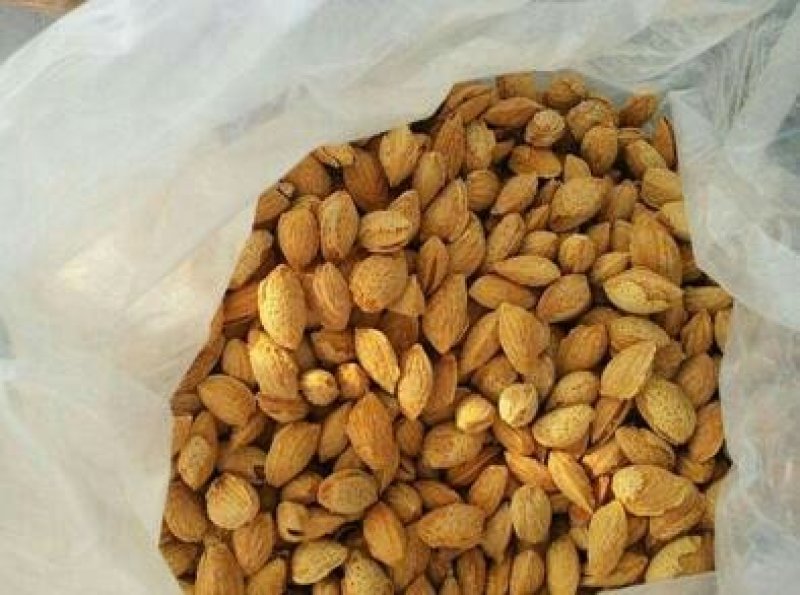 巴旦木每日坚果炒货零食干果特产手剥1500