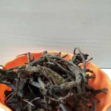 土大黄