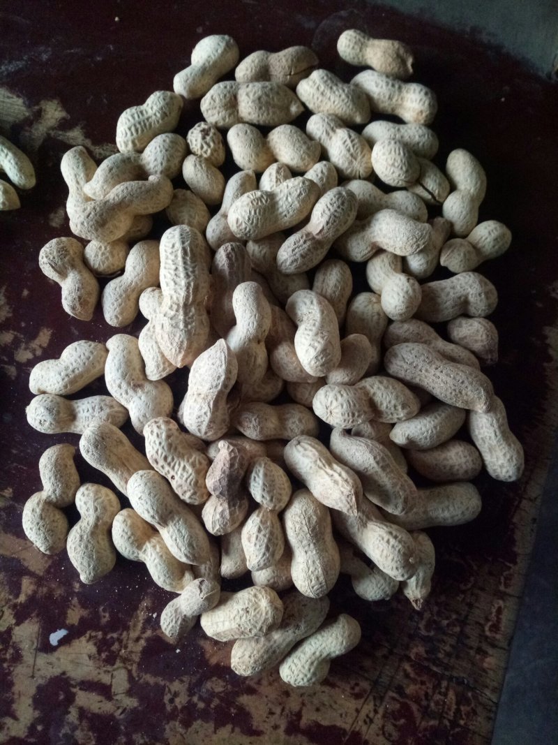 炒花生天府三质量好价格实惠