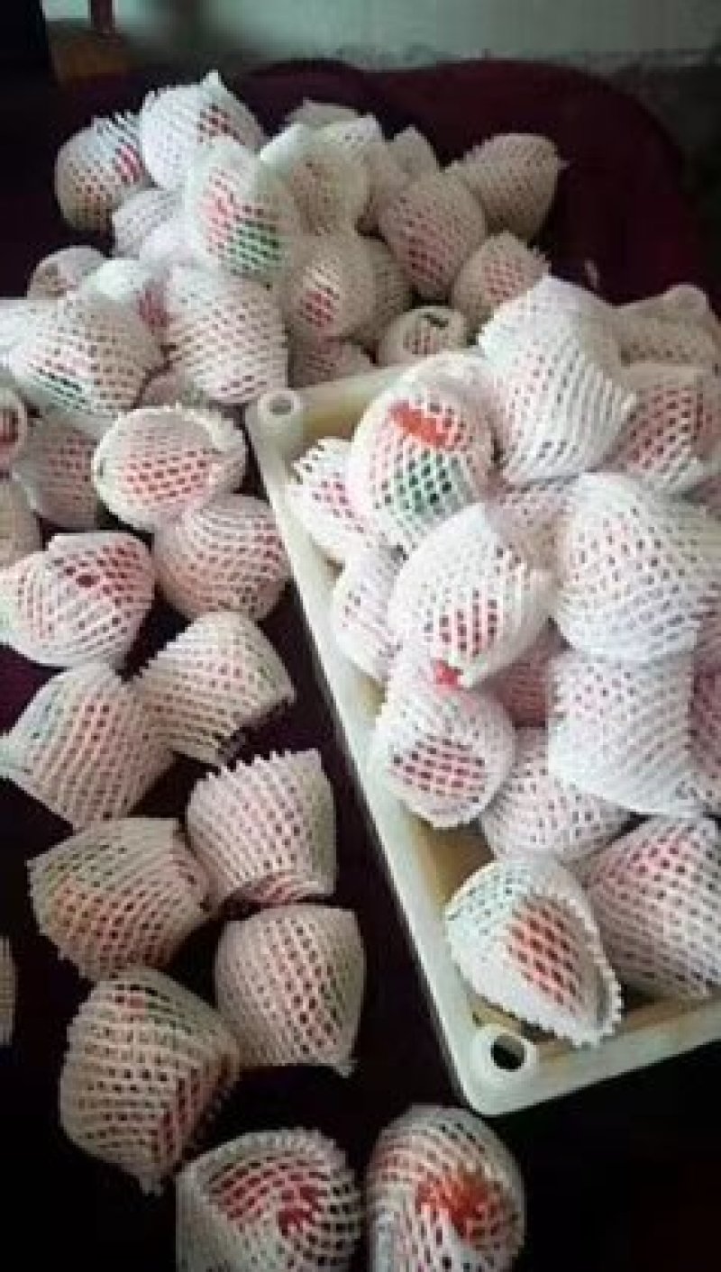 红颜99草莓