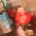 红颜99草莓