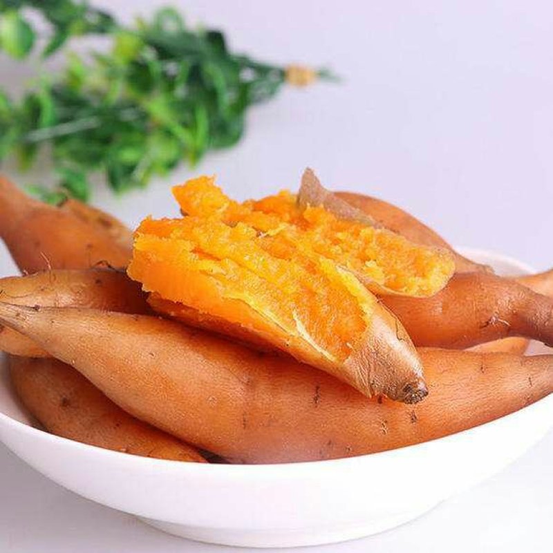 贵州紫云红芯薯，新鲜货