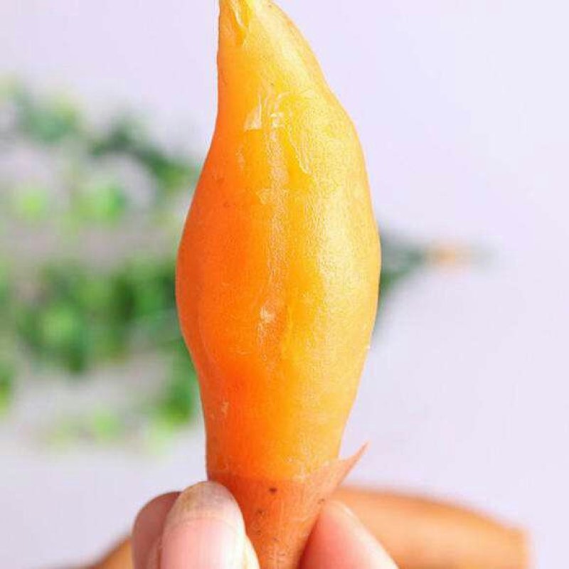 贵州紫云红芯薯，新鲜货