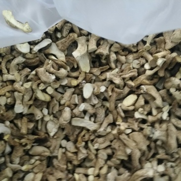 食用菌干货