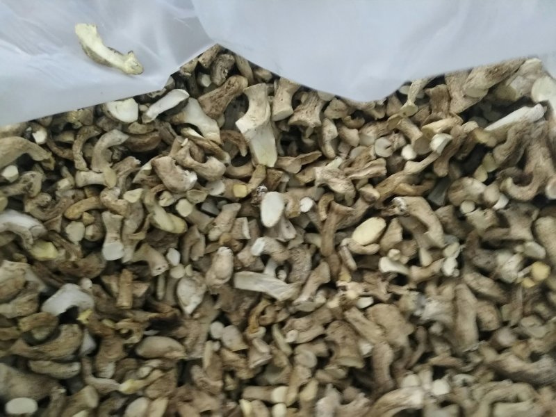 食用菌干货