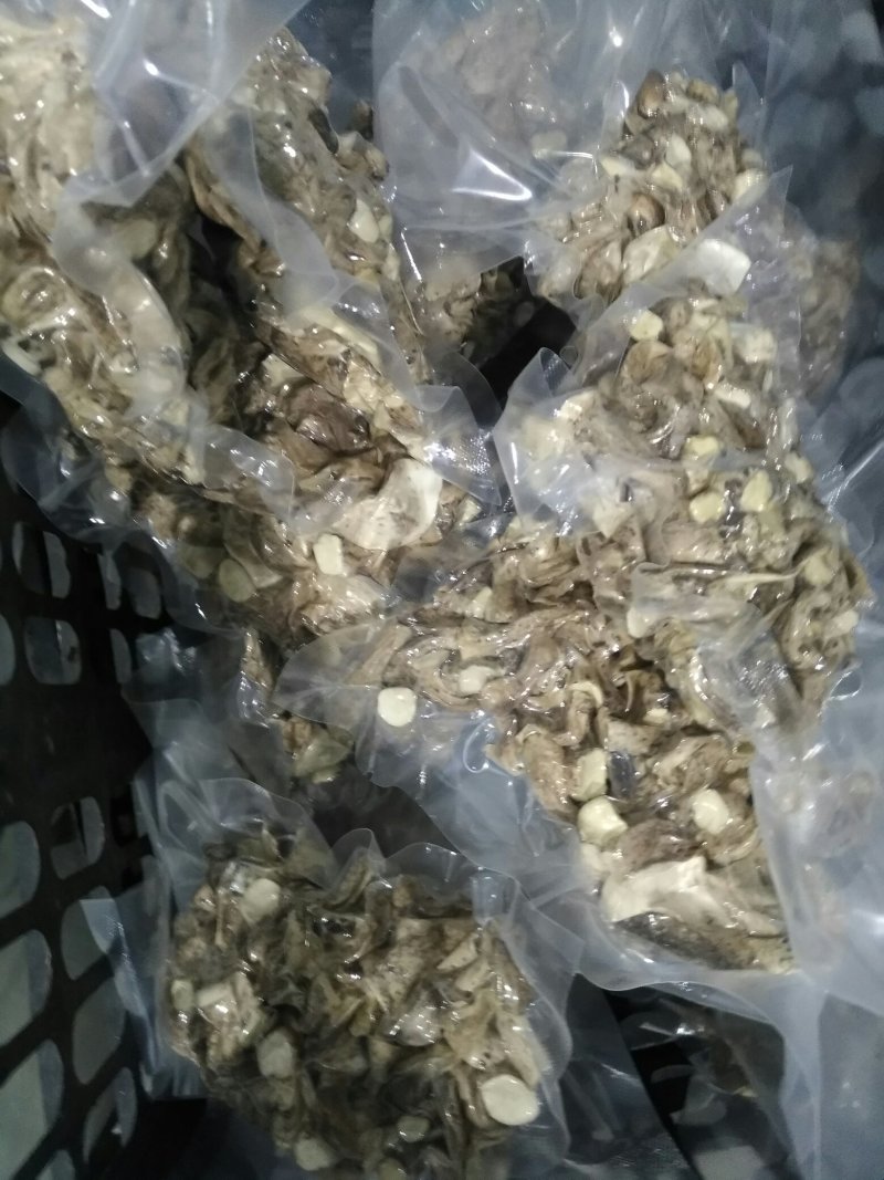 食用菌干货