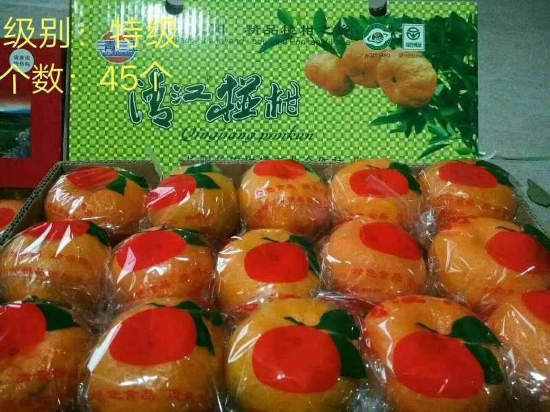 椪桔大量出售，，，，，，。…，，，，，，，，