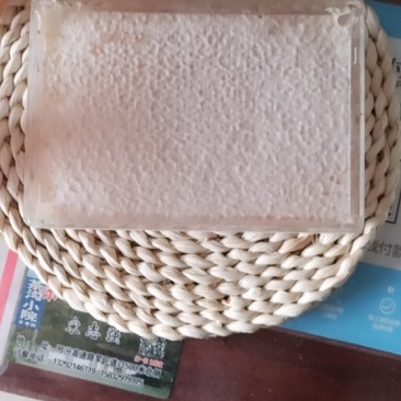 杂花巢蜜，