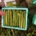 【精品】河北芹产地直发，可视频看货，品质保证，欢迎来电