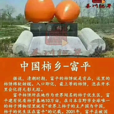 富平柿饼
