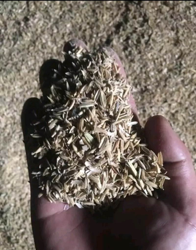 新稻稻壳