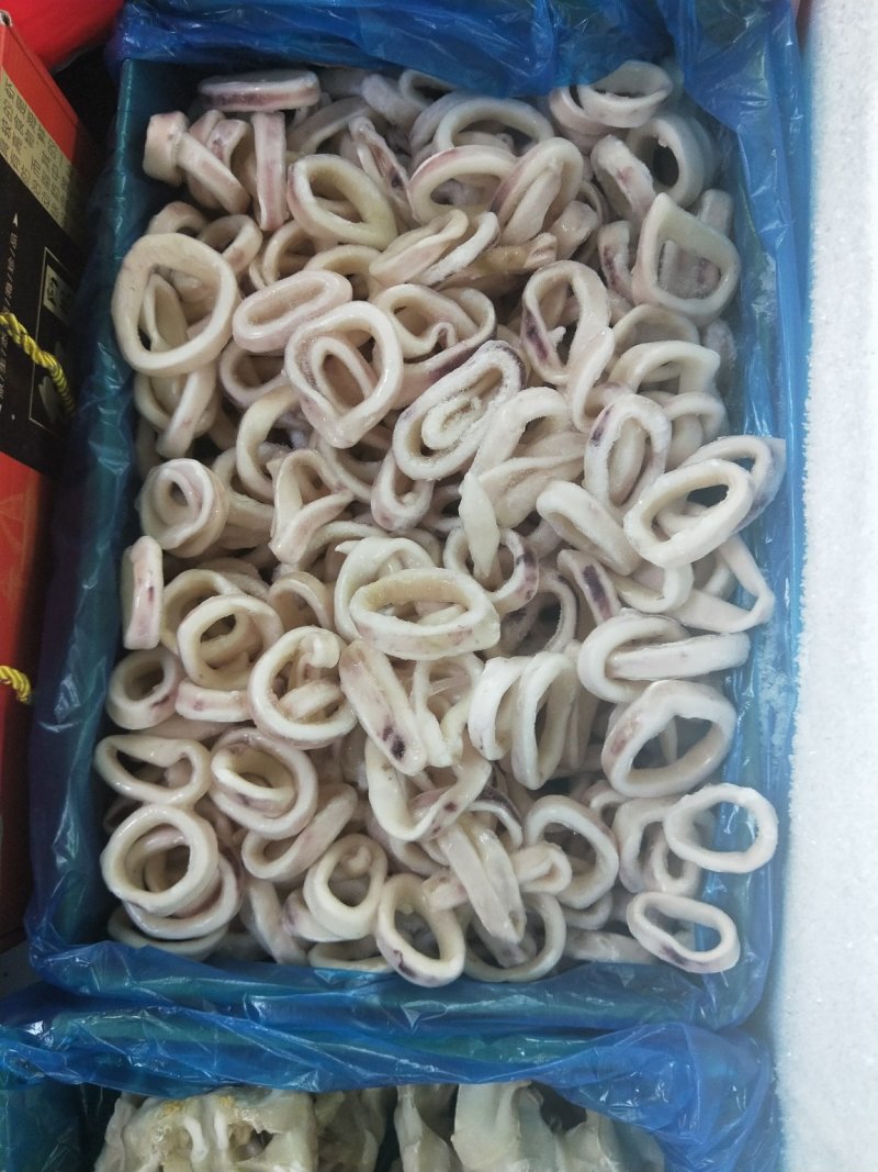 鱿鱼圈