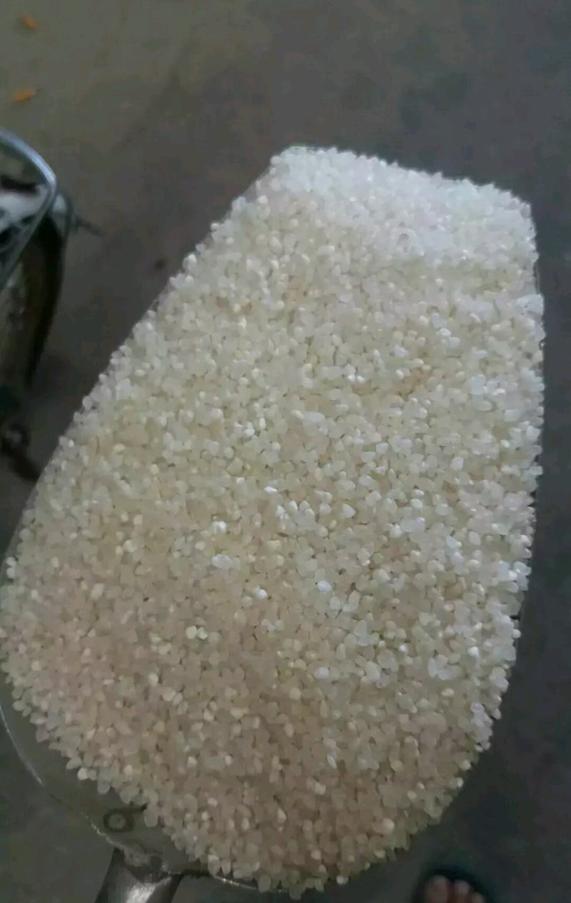 碎大米大米碎有机大米碎米