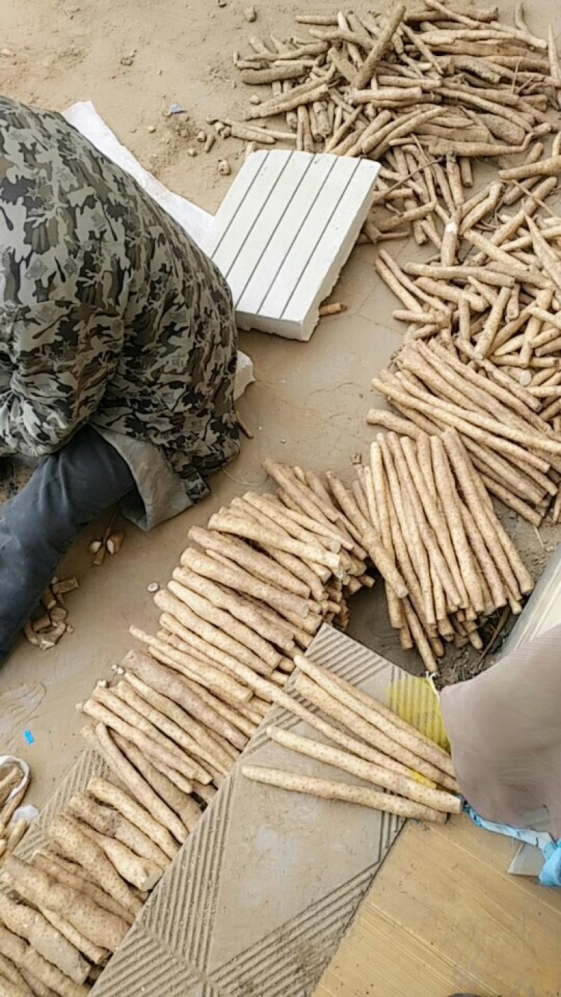小白嘴一点红