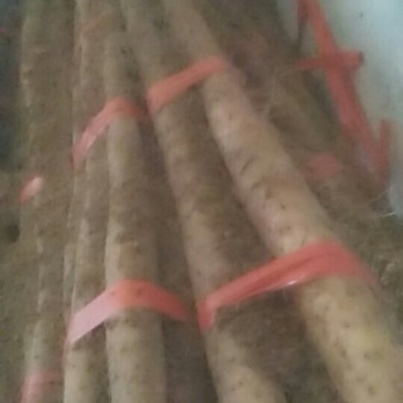 白玉精品长条发货中