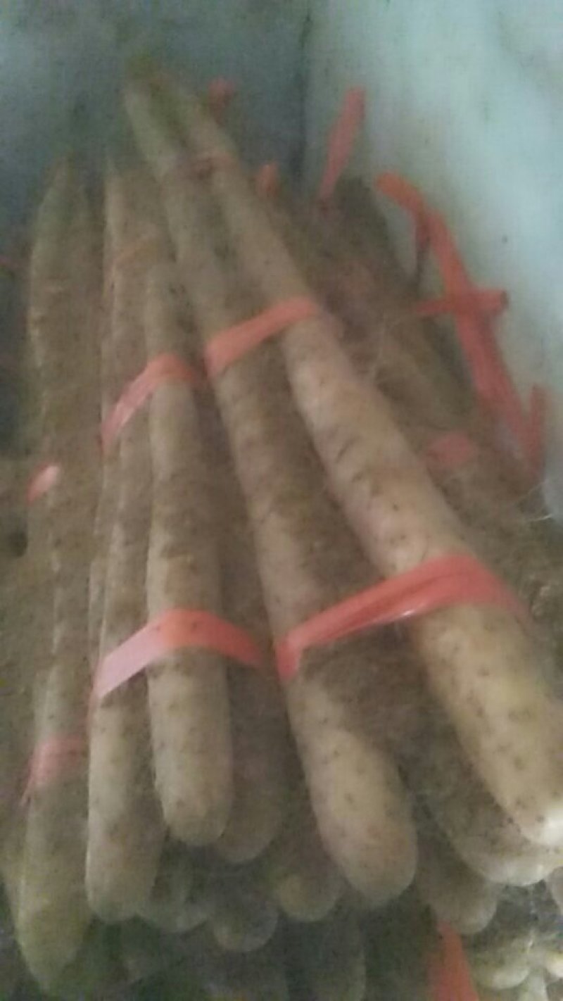 白玉精品长条发货中