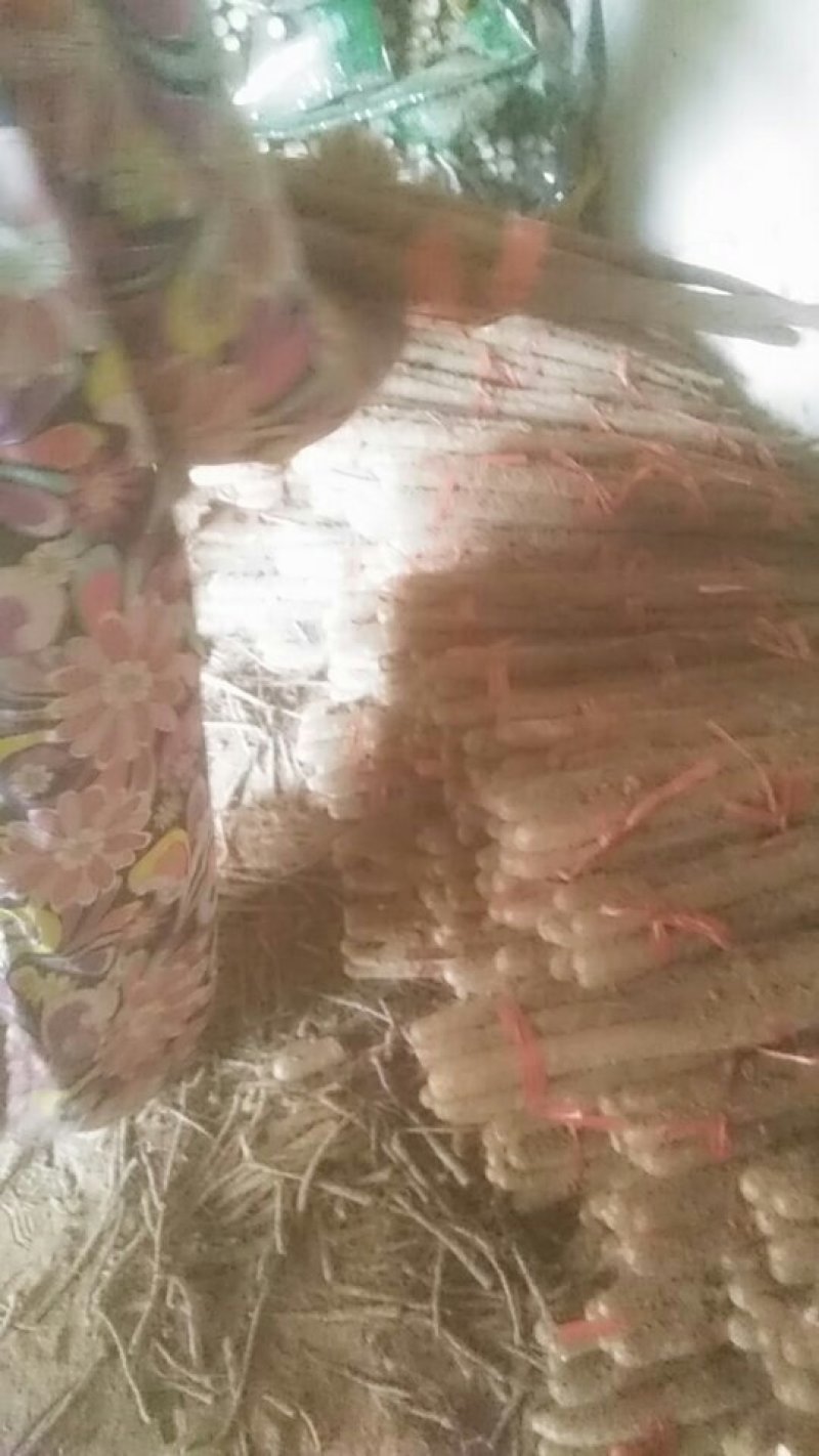 白玉精品长条发货中