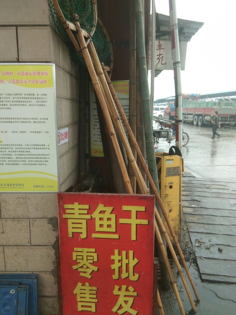 青鱼干