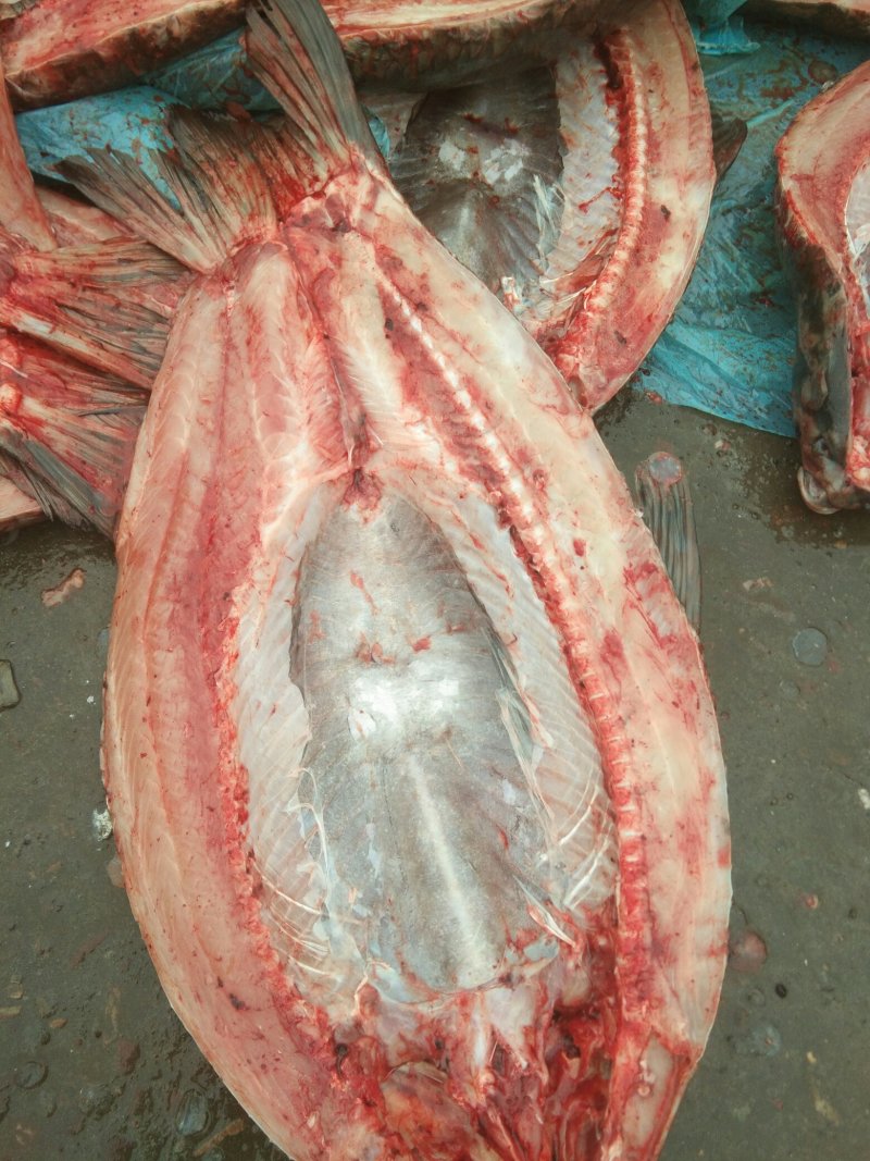 青鱼干