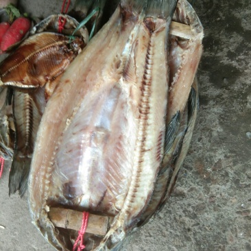 青鱼干
