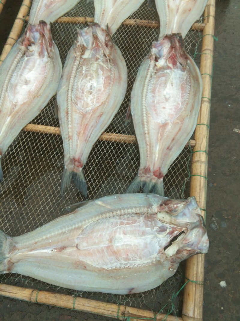 青鱼干