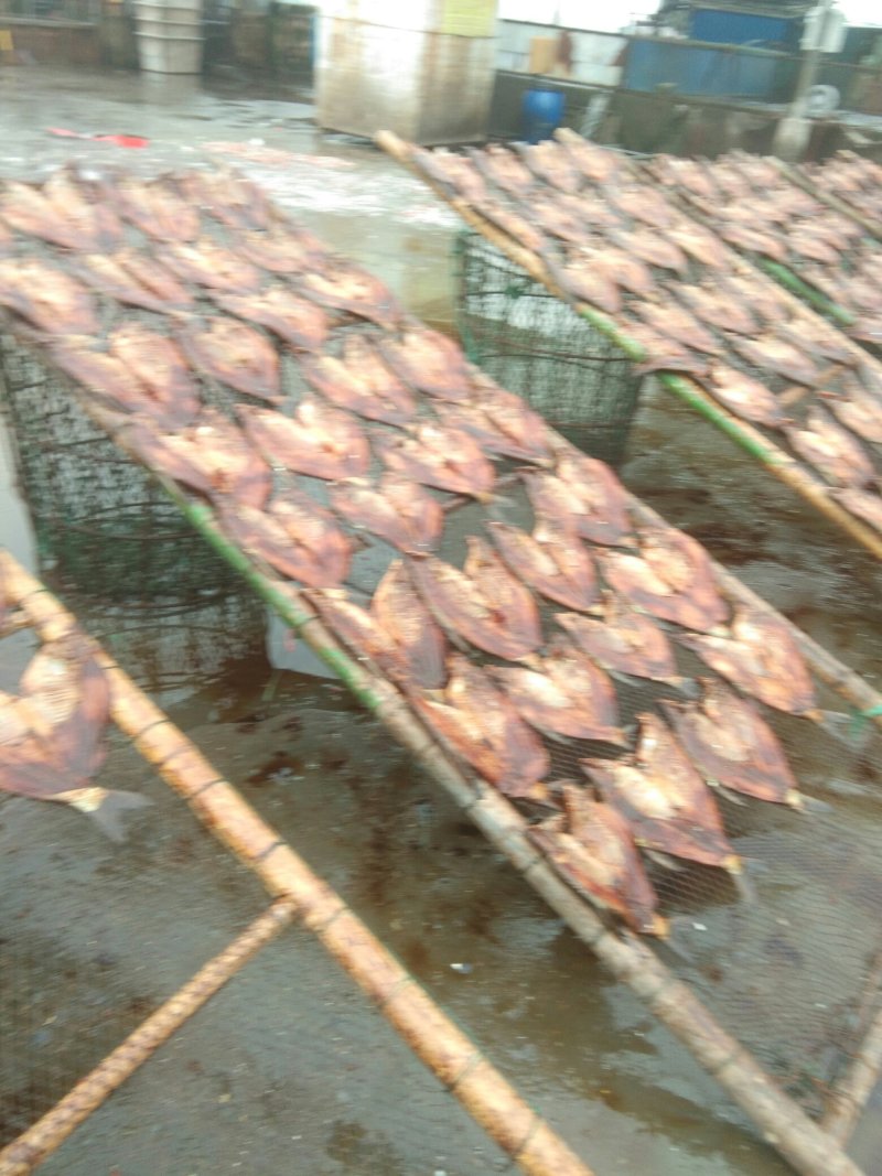 青鱼干